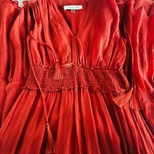 Taylor Vibrant Red Tassel Dress